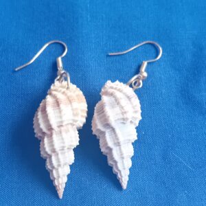 Beige and white shell earrings