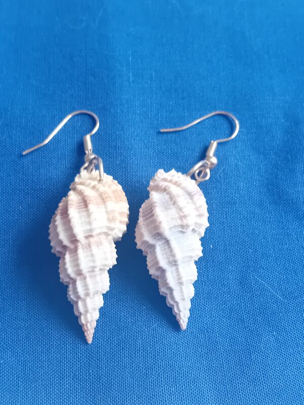 Beige and white shell earrings