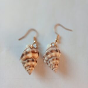 Fab Hanging Brown Shell Earrings | Natural Beach‑Style Jewellery