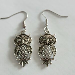 Enchanting silver coloured hanging owl earrings